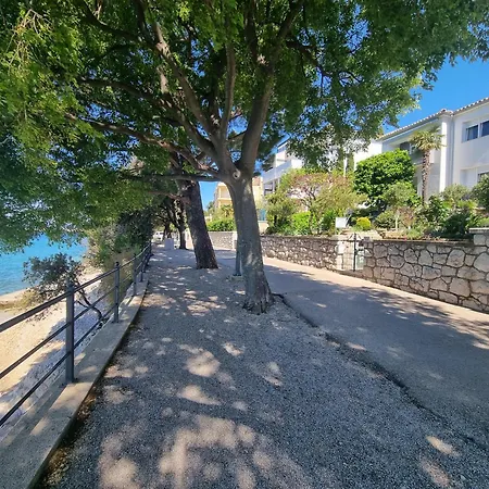 アパート Ljubo M On Great Location, 10 M From The ツリクヴェニツァ